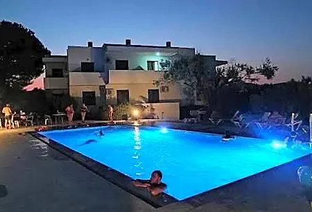 Narkissos 2*