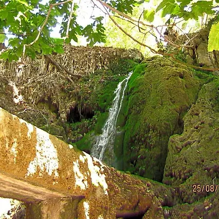 Narkissos 2*